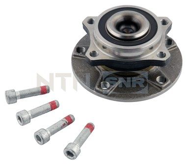 Wheel Bearing Kit SNR R176.07