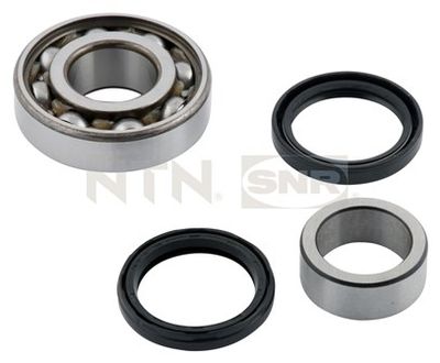 Wheel Bearing Kit SNR R177.13