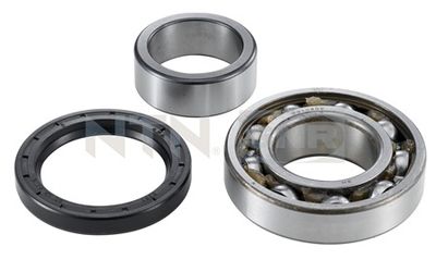 Wheel Bearing Kit SNR R177.15