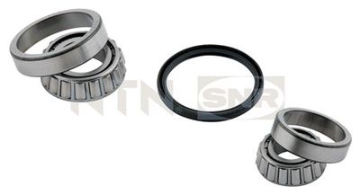 Wheel Bearing Kit SNR R181.08