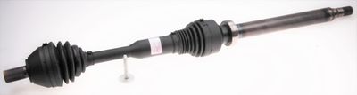 Drive Shaft SPIDAN 25531
