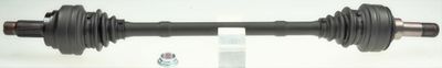 Drive Shaft SPIDAN 36070