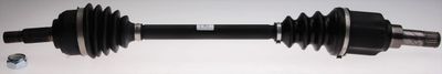 Drive Shaft SPIDAN 36558