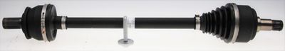 Drive Shaft SPIDAN 36643