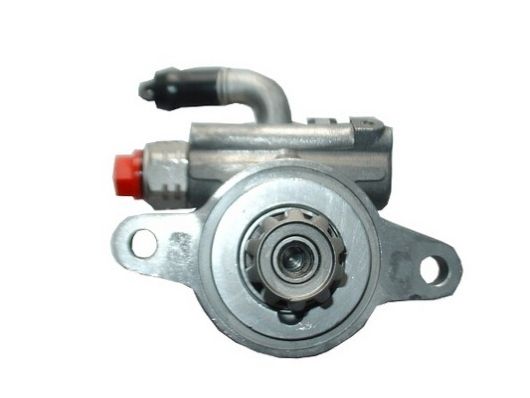 SPIDAN 52594 Hydraulic Pump, steering