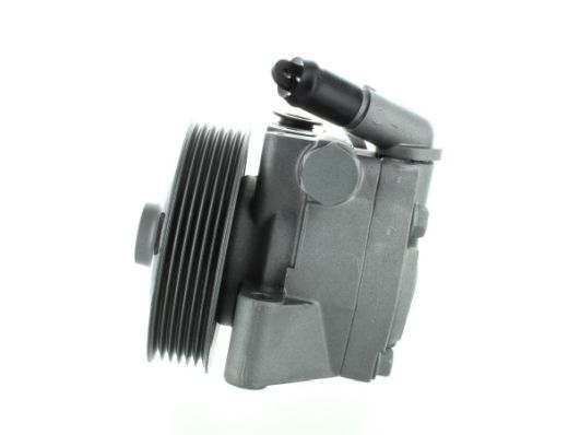 SPIDAN 52597 Hydraulic Pump, steering