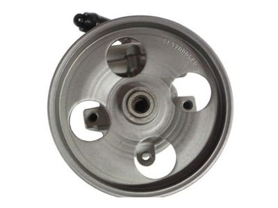 Hydraulic Pump, steering SPIDAN 52605