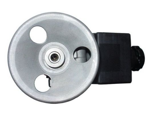 SPIDAN 52609 Hydraulic Pump, steering