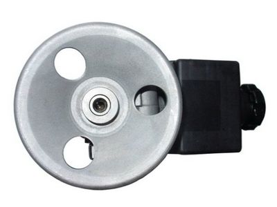 Hydraulic Pump, steering SPIDAN 52609