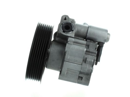 SPIDAN 52613 Hydraulic Pump, steering