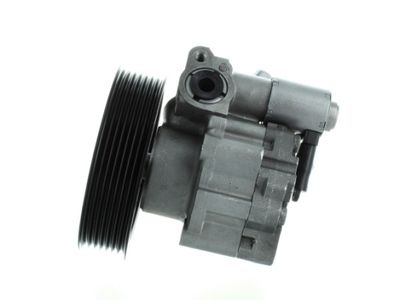 Hydraulic Pump, steering SPIDAN 52613