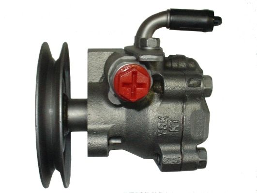 SPIDAN 52849 Hydraulic Pump, steering