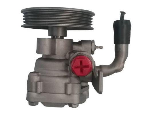 SPIDAN 52896 Hydraulic Pump, steering