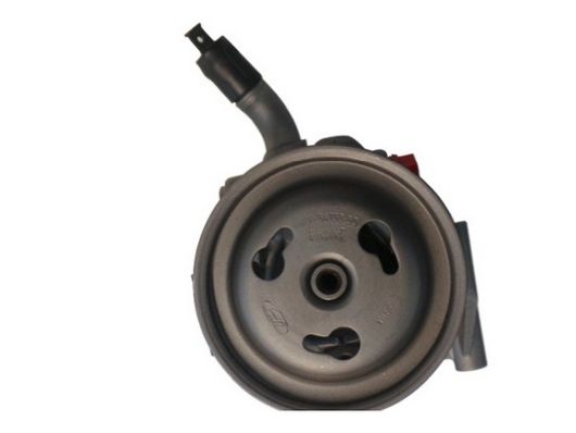 SPIDAN 53584 Hydraulic Pump, steering