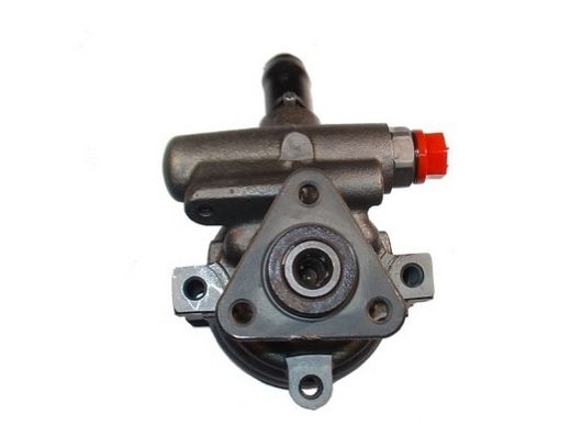 SPIDAN 53697 Hydraulic Pump, steering