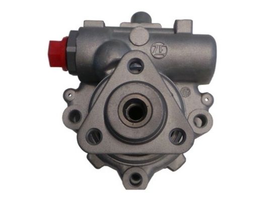 SPIDAN 53724 Hydraulic Pump, steering
