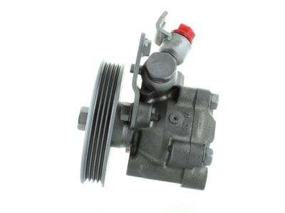 Hydraulic Pump, steering SPIDAN 53804