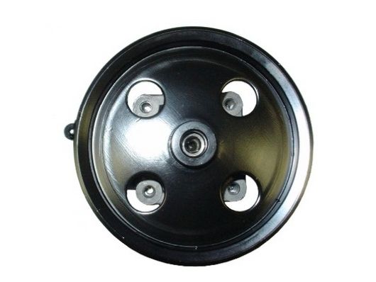 SPIDAN 54071 Hydraulic Pump, steering