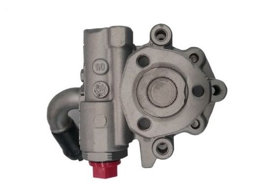 SPIDAN 54118 Hydraulic Pump, steering