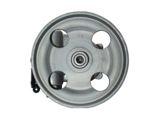 SPIDAN 54181 Hydraulic Pump, steering