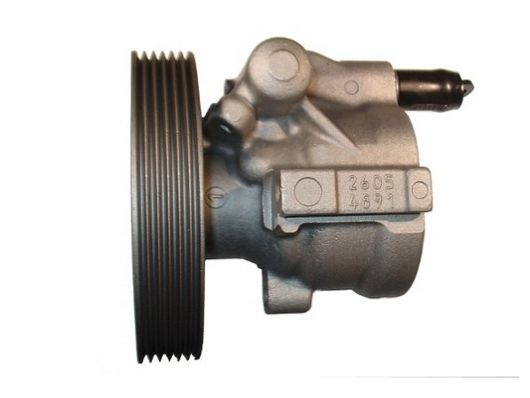 SPIDAN 54264 Hydraulic Pump, steering