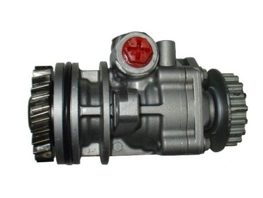 SPIDAN 54273 Hydraulic Pump, steering