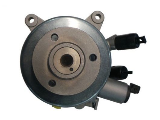 SPIDAN 54336 Hydraulic Pump, steering