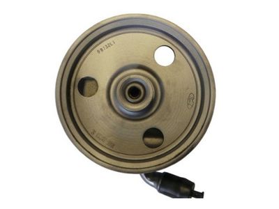 Hydraulic Pump, steering SPIDAN 54384