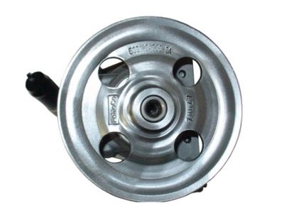 Hydraulic Pump, steering SPIDAN 54389