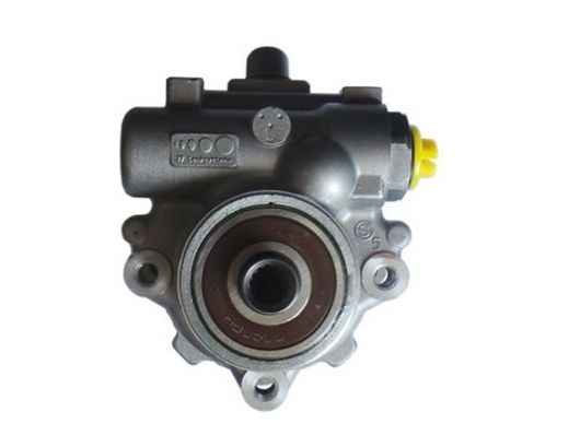 SPIDAN 54605 Hydraulic Pump, steering