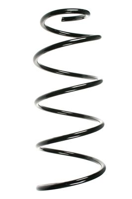 Suspension Spring SPIDAN 55612