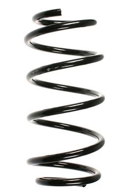 Suspension Spring SPIDAN 55993
