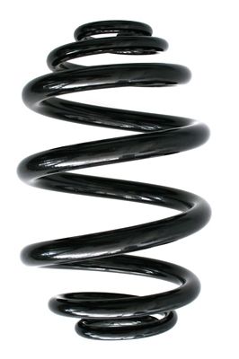 SPIDAN 85736 Suspension Spring