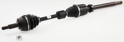 Drive Shaft SPIDAN GKND11803