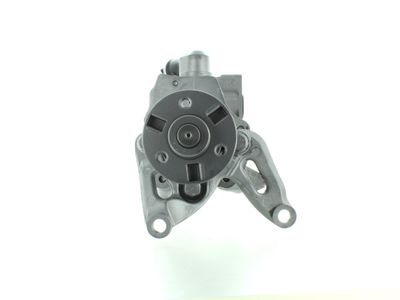 Hydraulic Pump, steering SPIDAN GKNY10031