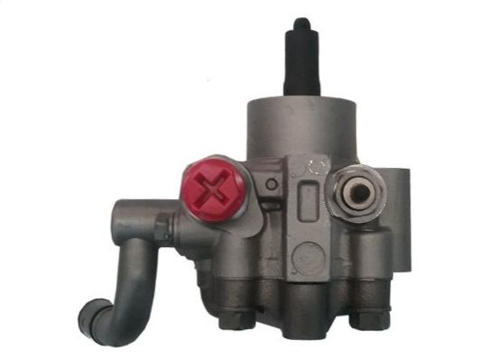 SPIDAN GKNY10085 Hydraulic Pump, steering