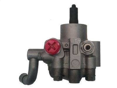 Hydraulic Pump, steering SPIDAN GKNY10085