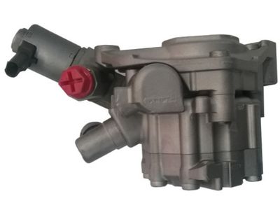 Hydraulic Pump, steering SPIDAN GKNY10086