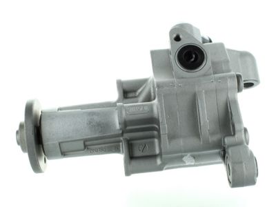 Hydraulic Pump, steering SPIDAN GKNY10130