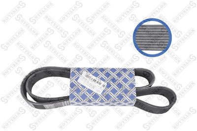 V-Ribbed Belt STELLOX 01-01350-SX