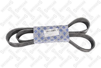 V-Ribbed Belt STELLOX 01-01447-SX