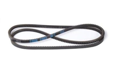 V-Belt STELLOX 01-01550-SX