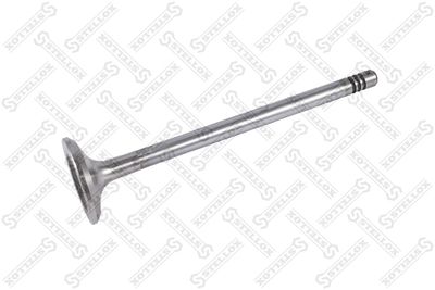 Exhaust Valve STELLOX 01-24339-SX