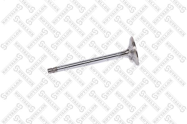 STELLOX 01-24416-SX Intake Valve