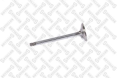 Intake Valve STELLOX 01-24416-SX