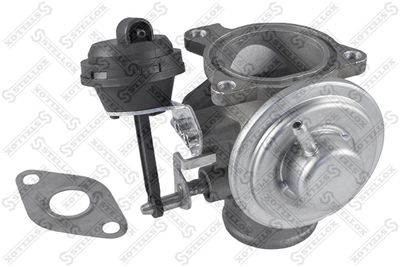 EGR Valve STELLOX 01-25012-SX