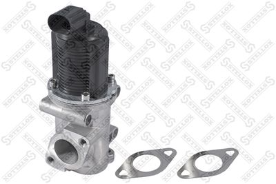 EGR Valve STELLOX 01-25018-SX