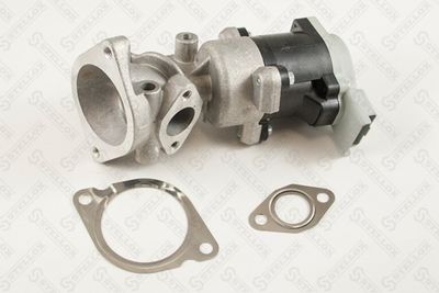 EGR Valve STELLOX 01-25119-SX