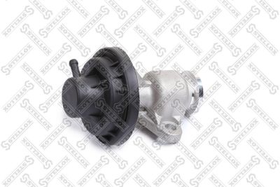 EGR Valve STELLOX 01-25143-SX