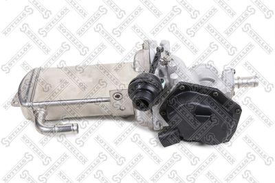 EGR Valve STELLOX 01-25229-SX